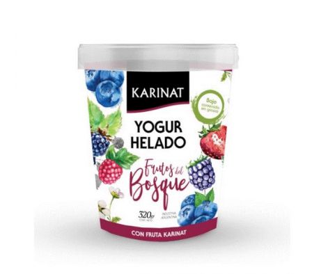 YOGUR HELADO KARINAT SABOR FRUTOS DEL BOSQUE 320G