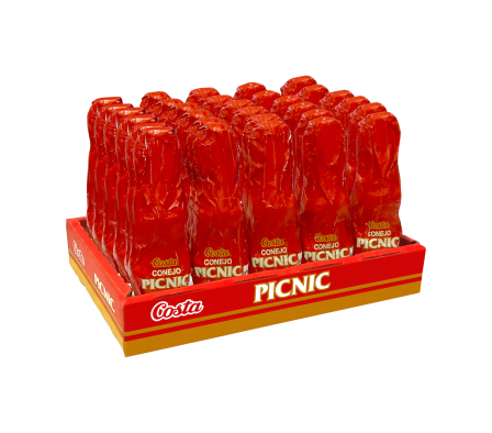 HUEVO DE PASCUA COSTA CONEJO PICNIC 60GR.