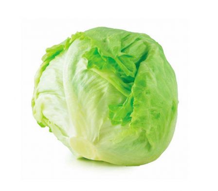 LECHUGA REPOLLADA X KG