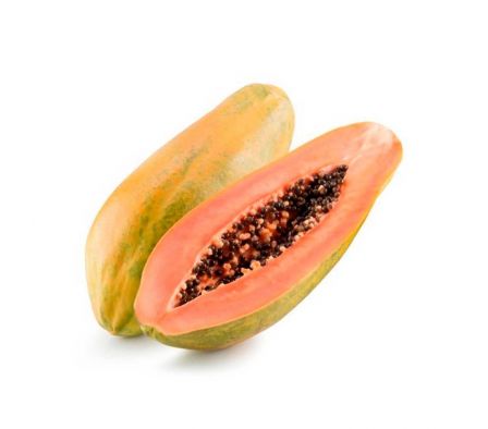 MAMON GRANDE FORM/BRASILERO.